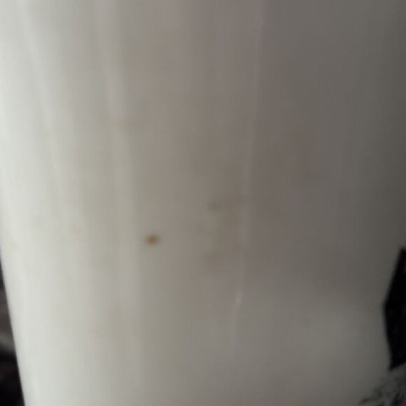 Penn State “Old Main” Class Of 1953 35th Reunion Mug - Picture 6 of 8